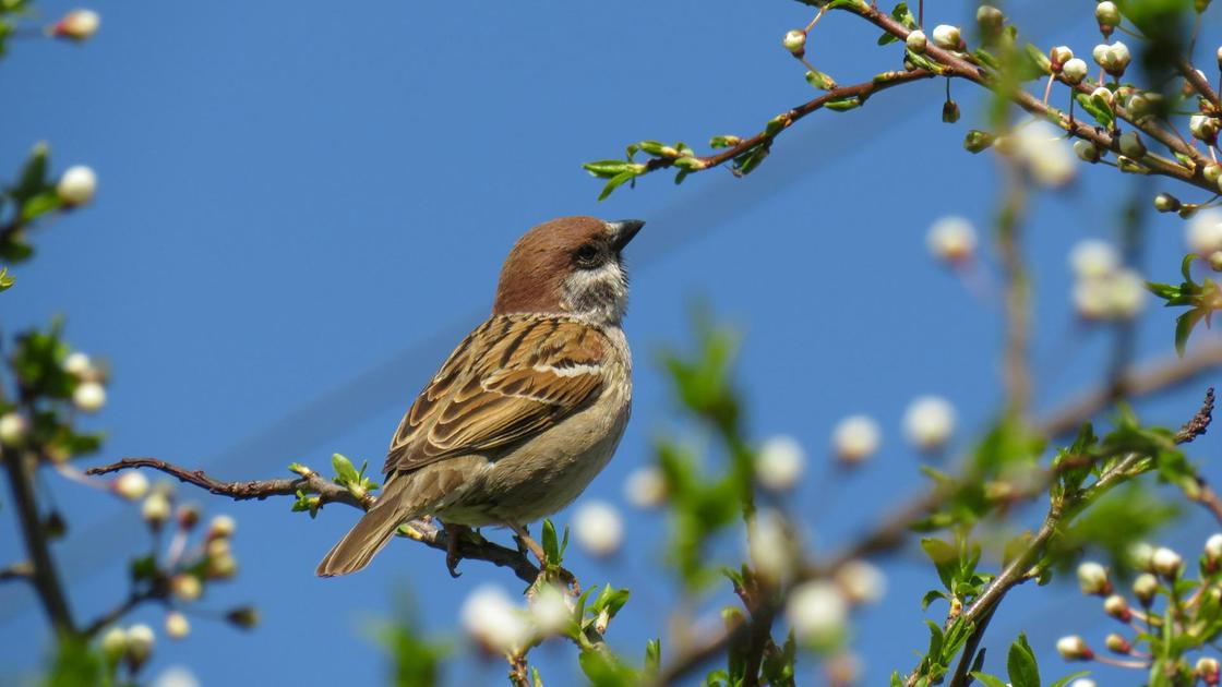 Torǵaıyn qorǵaǵan Talap