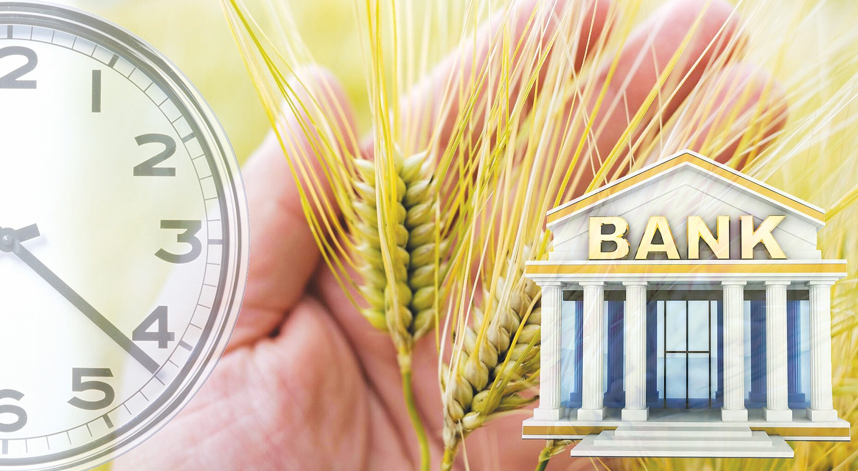 Agrobank máselesi baıyptalyp jatyr