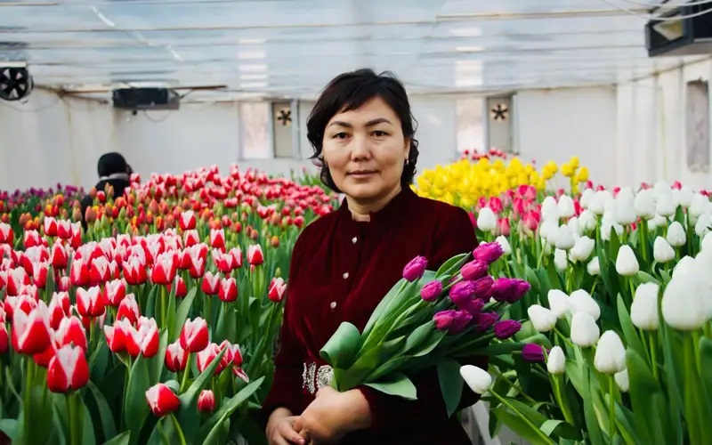 Qyzǵaldaq – ǵylym taqyryby