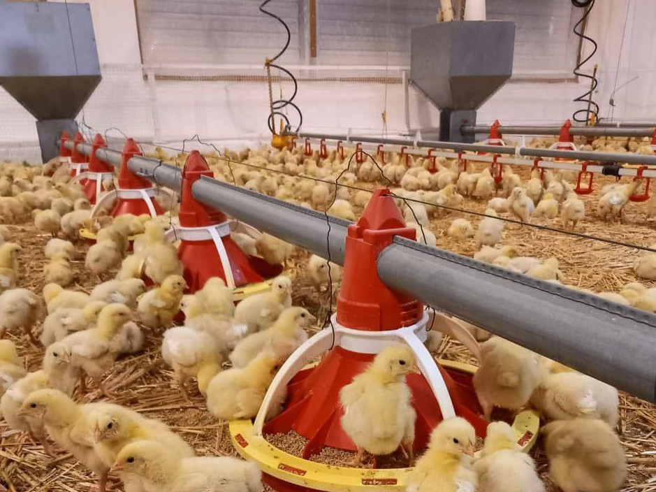 Sharýashylyǵy shalqyǵan kún týar