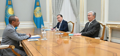 Prezıdent BAÁ-niń Qazaqstandaǵy elshisin qabyldady