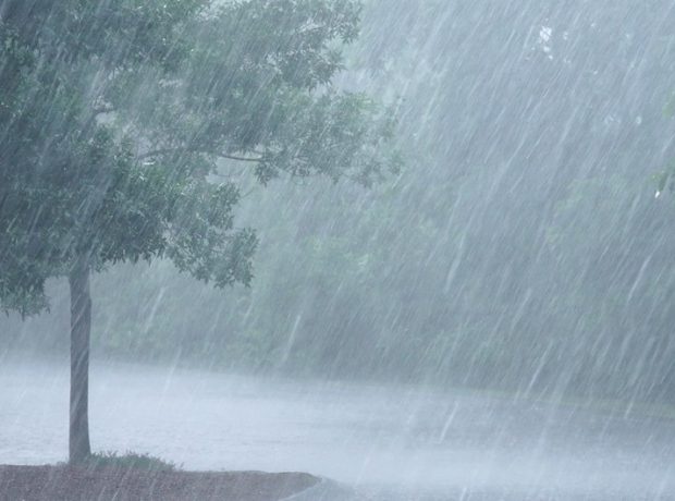 Aldaǵy kúnderi elimizdiń basym bóliginde jańbyr jaýady