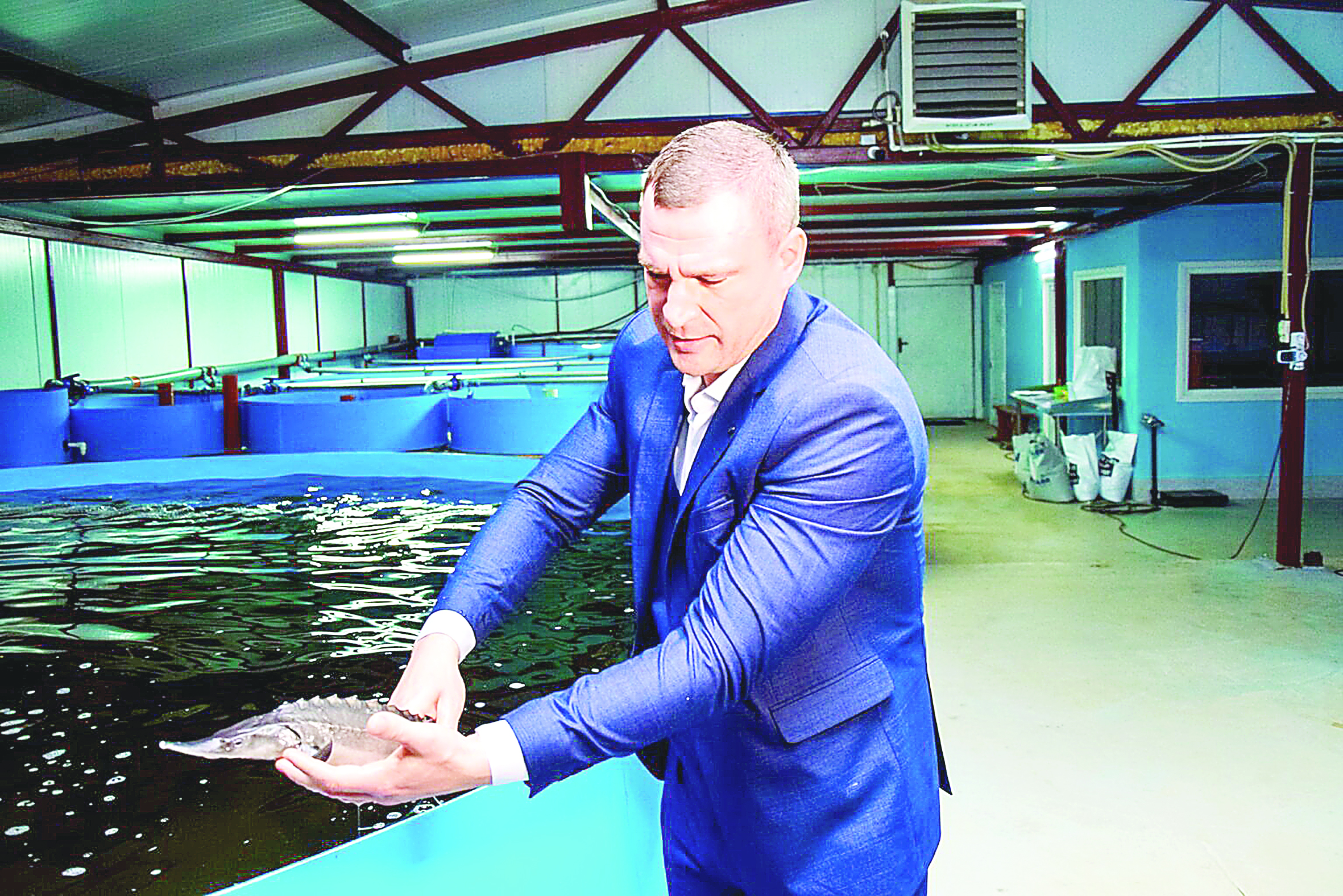 Bekire – berekeli bıznes