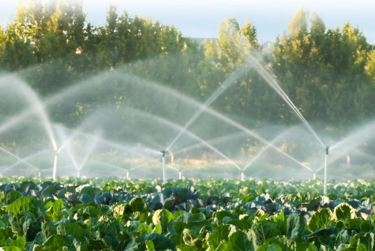 Elimizde aýyl sharýashylyǵyna qansha sý jumsalady