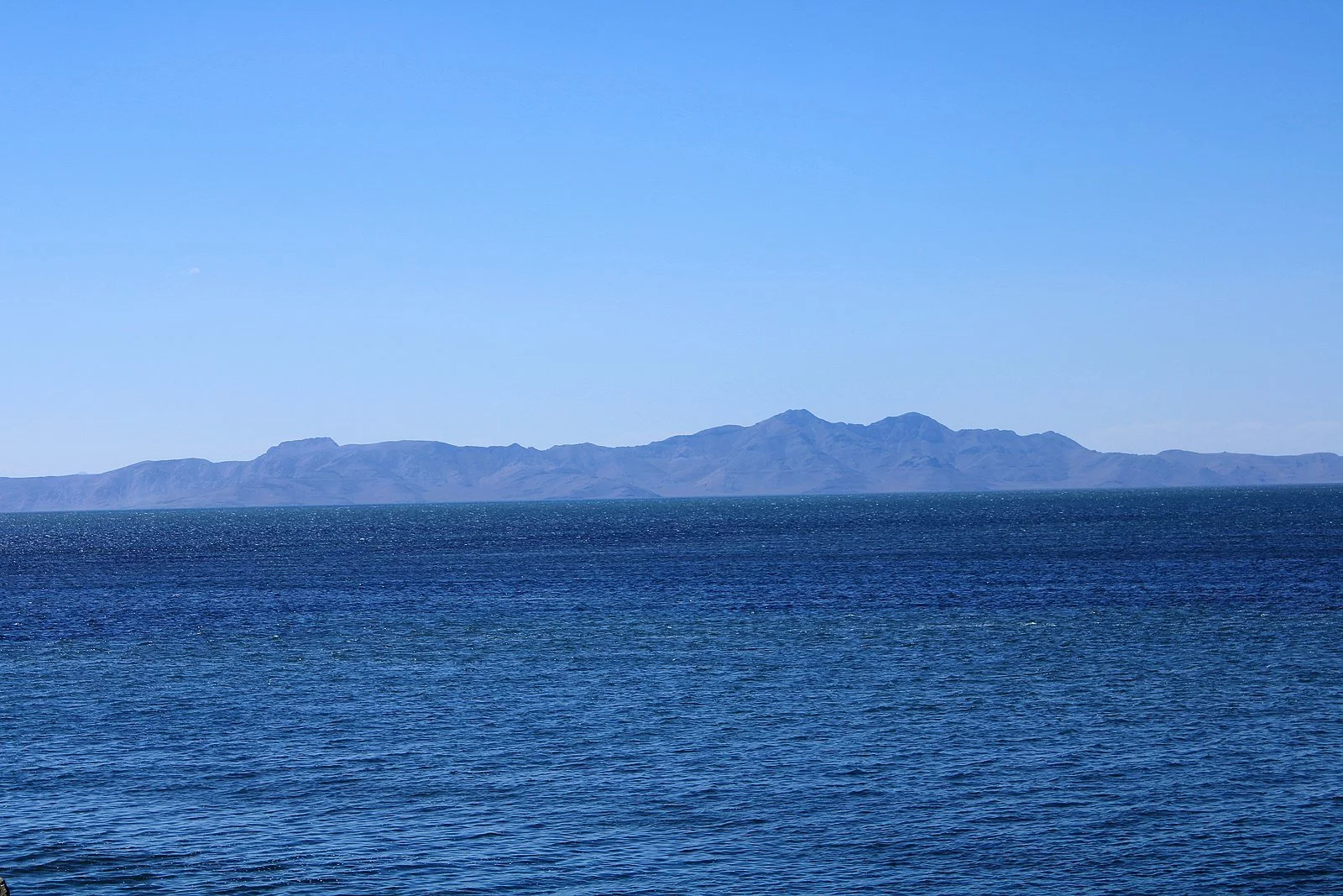 Sý zańnamasyn buzǵandarǵa aıyppul salyndy