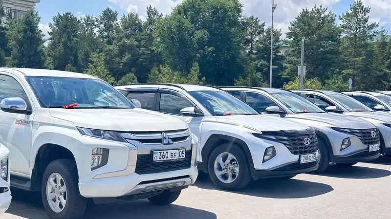 Veterınarlar kólik jańartty