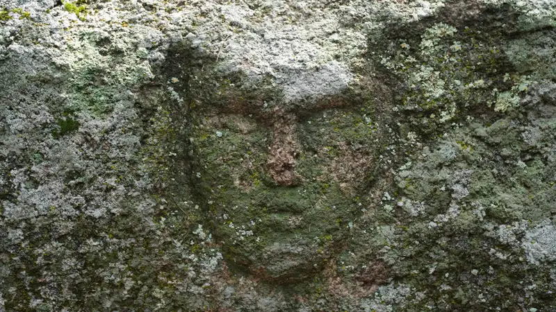 Aqmola oblysynda erekshe artefakt tabyldy