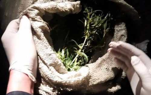 Taraz turǵyny iri kólemde esirtki tasymaldaǵan