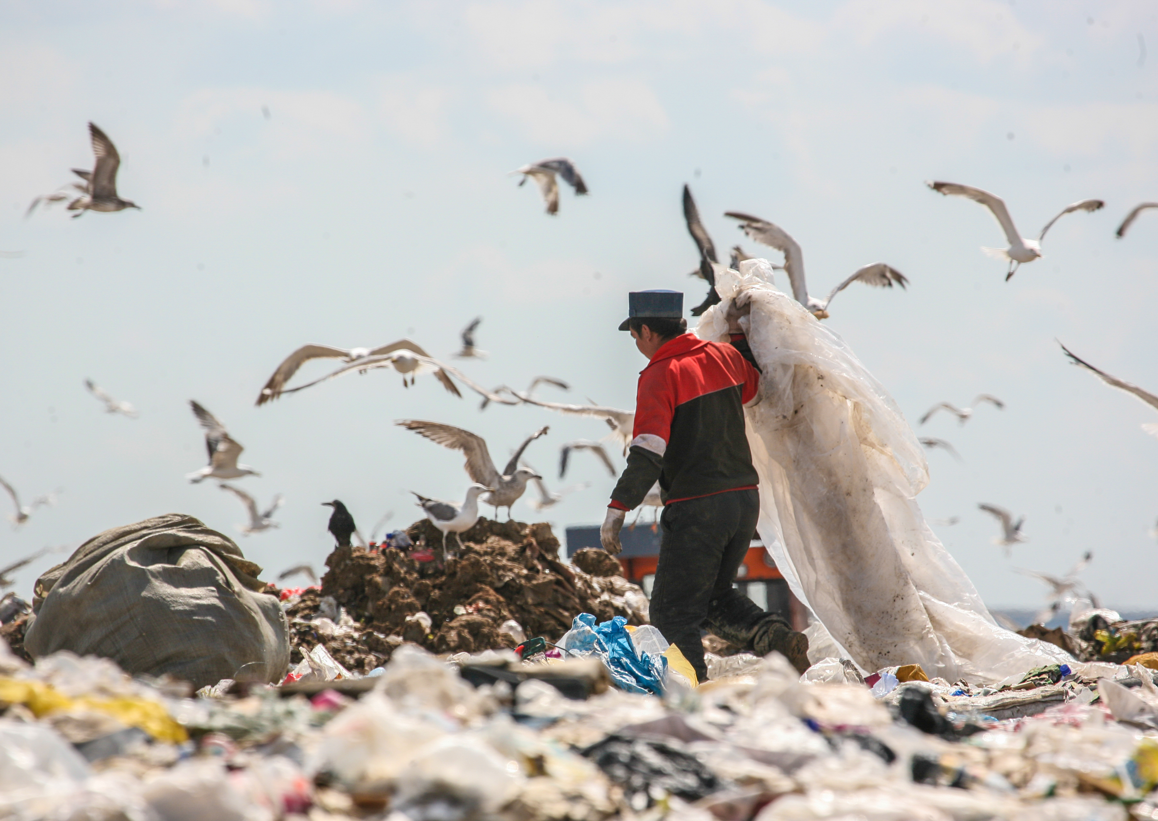 Mıllıard teńge taýdaı qoqysty retteı ala ma?