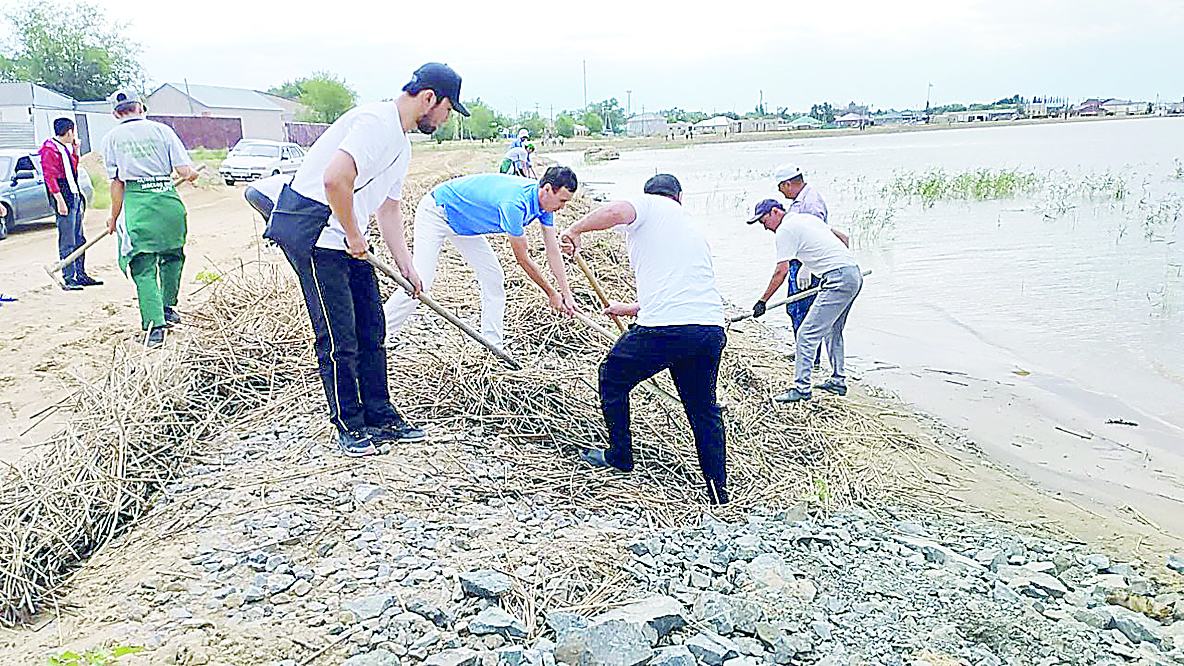 Shalqar jaǵalaýynyń sáni kirdi