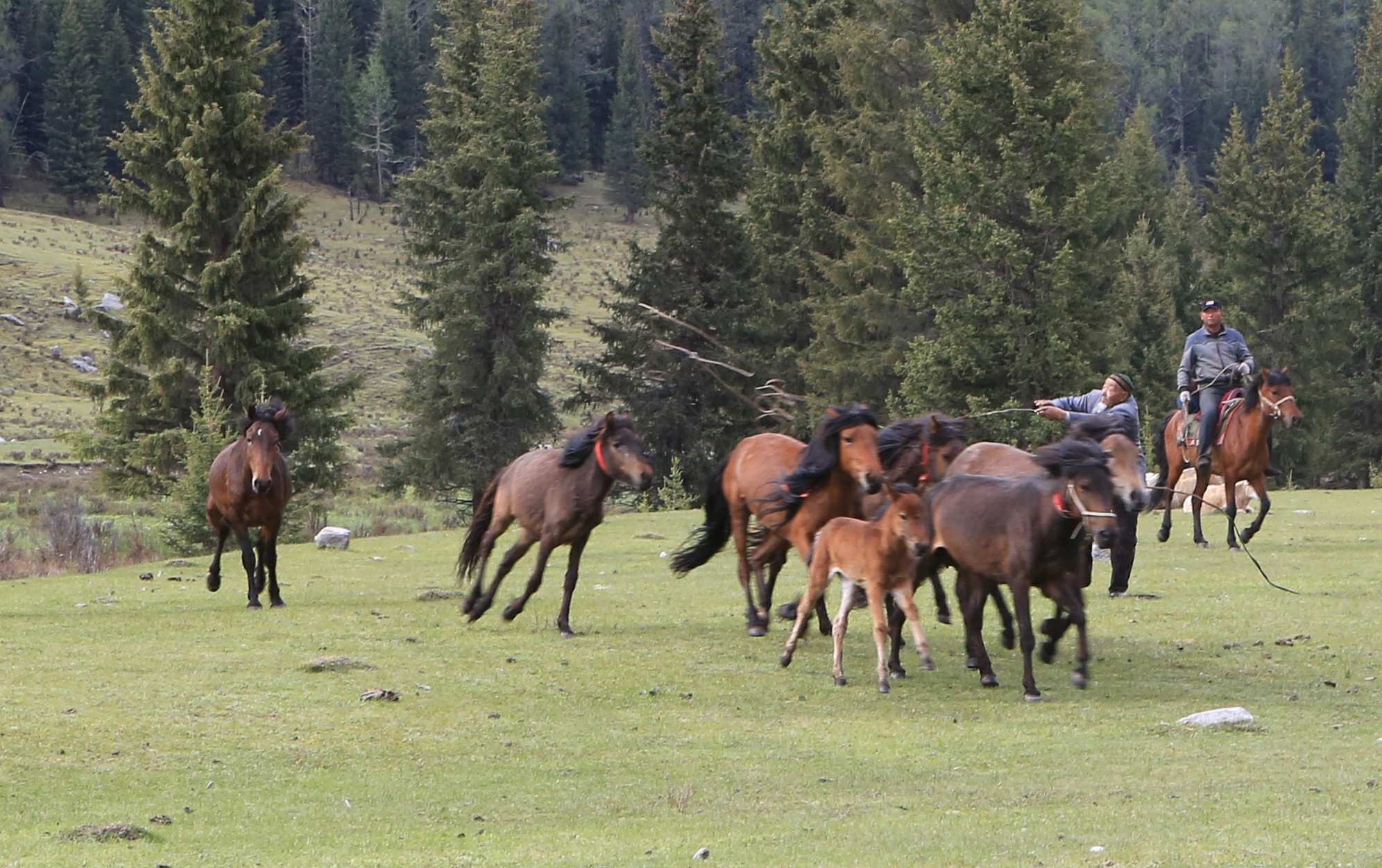 Shalma tastaıtyndar qaldy ma osy?