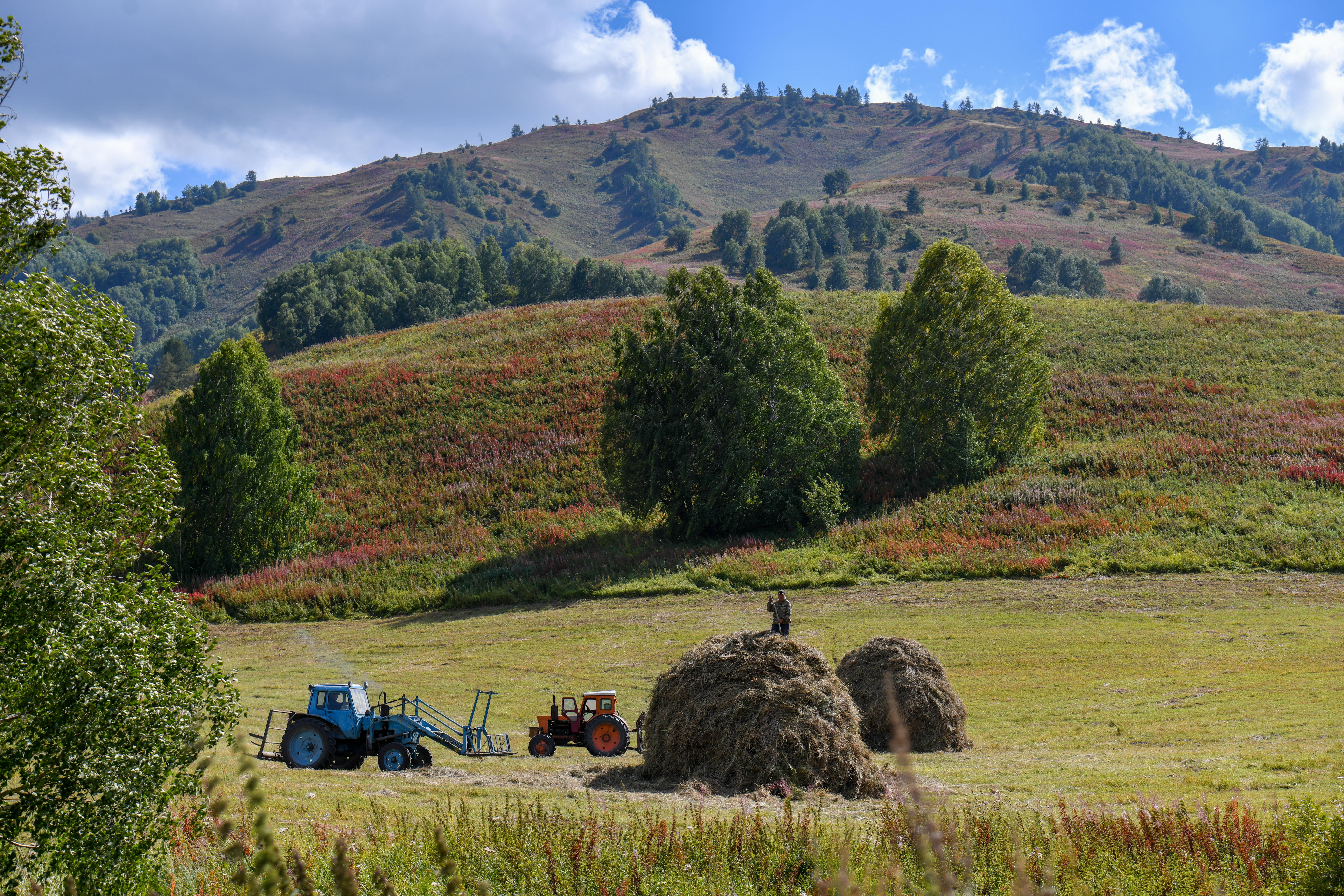 Qystyń qamyn jaz oıla