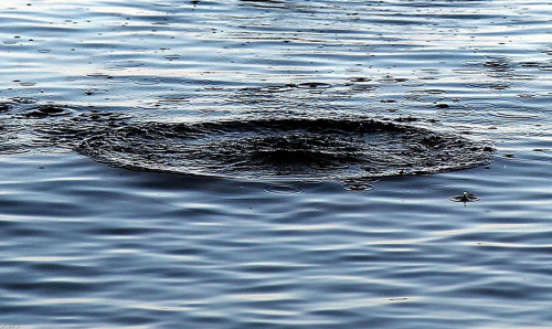 Atyraýda sýǵa batyp ketken ekinshi balanyń máıiti tabyldy