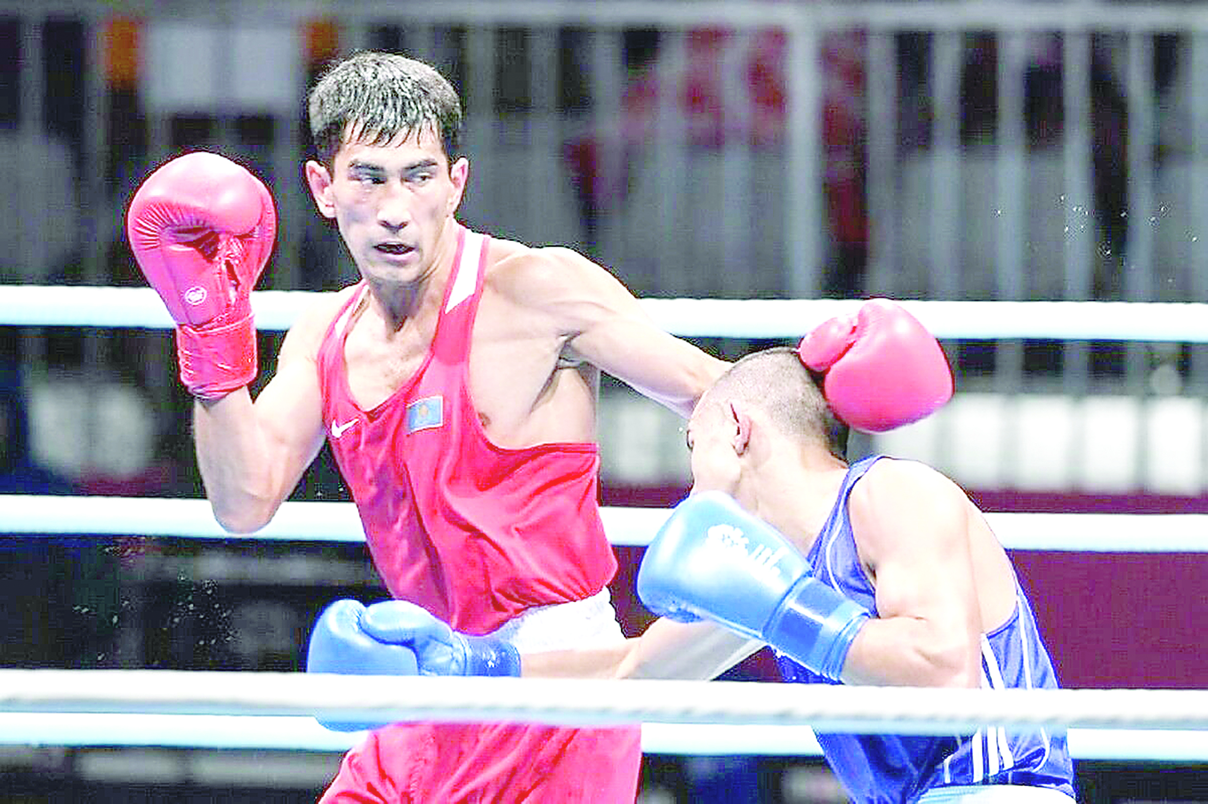 Parıj tórinen qandaı syı buıyrady?