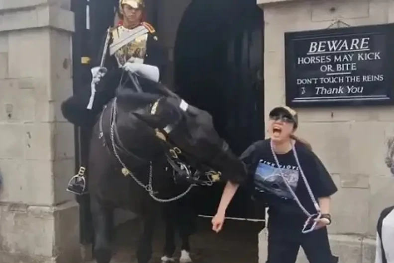 Londonda sýretke túspekshi bolǵan týrısti jylqy tistep alǵan