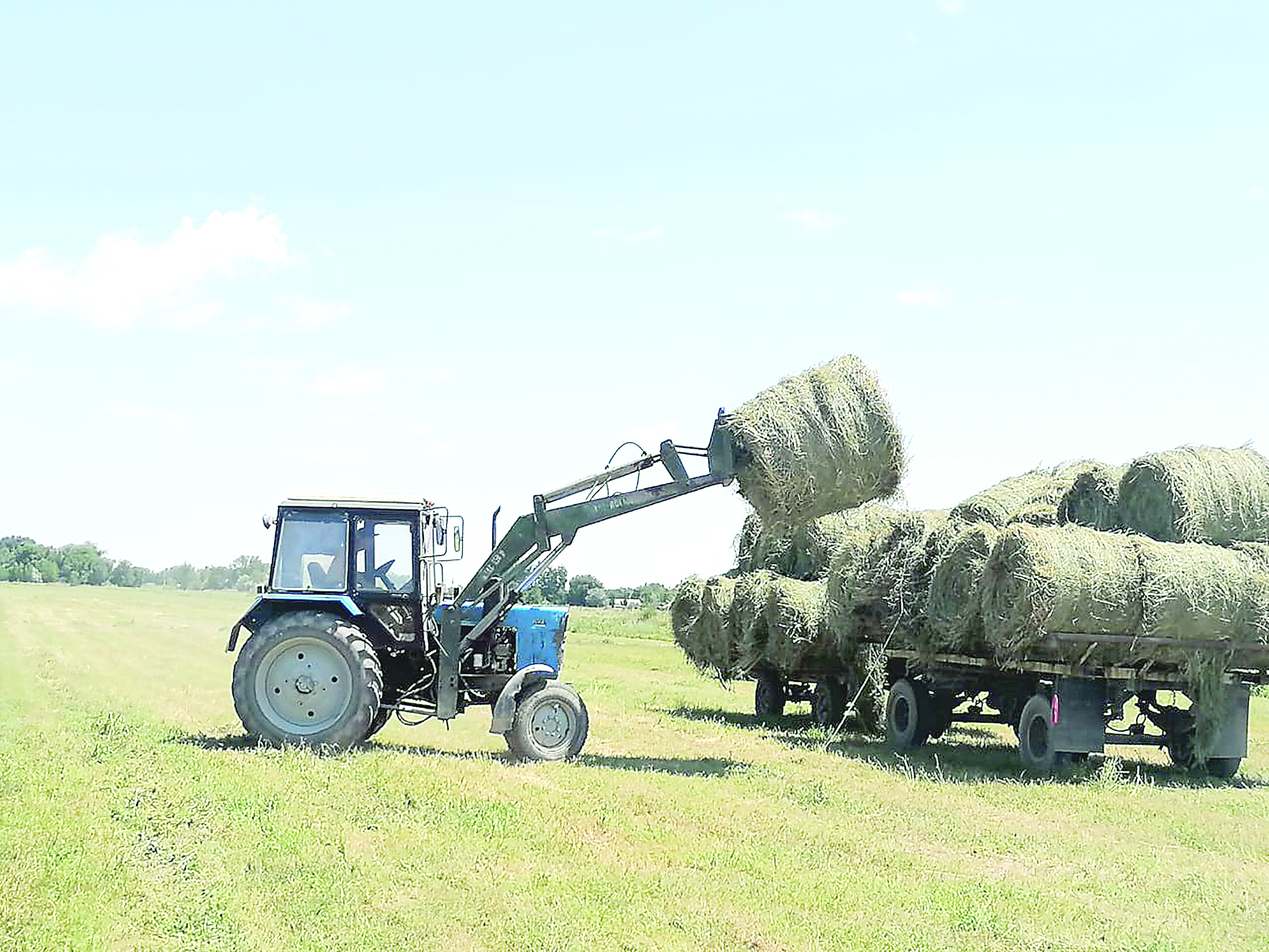 Shalǵaıdaǵy aýyl shabyndyqtan taryǵyp otyr