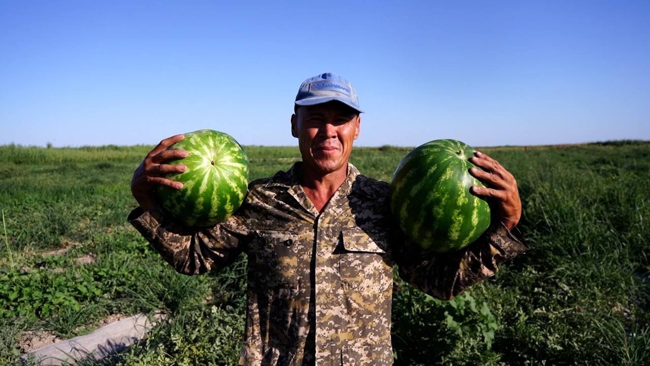 Mınıstrlik. Telegram