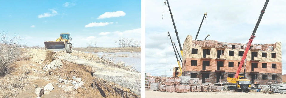 Tasqynnan keıingi tirshilik