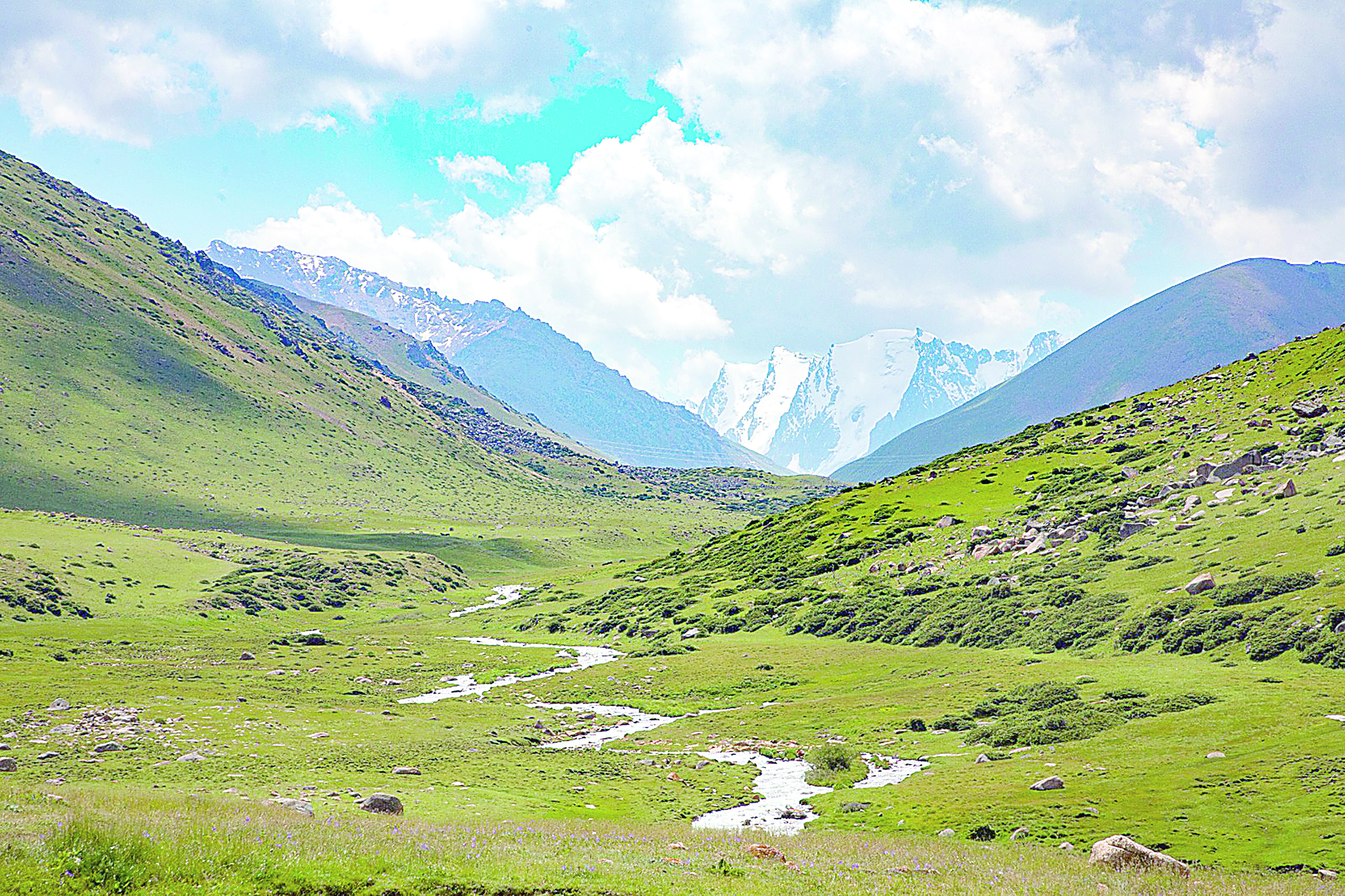 Jerdiń kórki – Merki