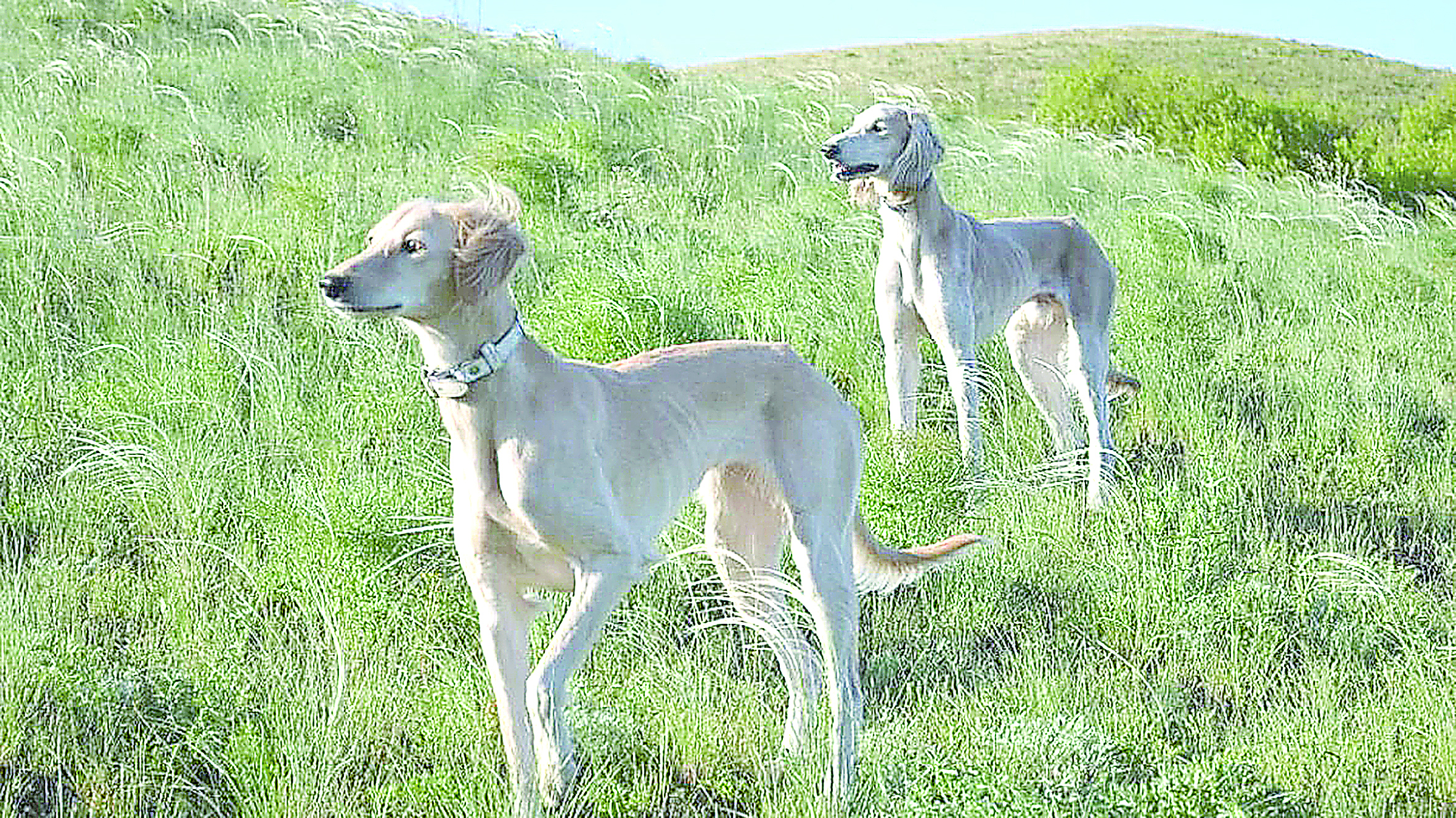 Dúnıeniń ishki matrısasy