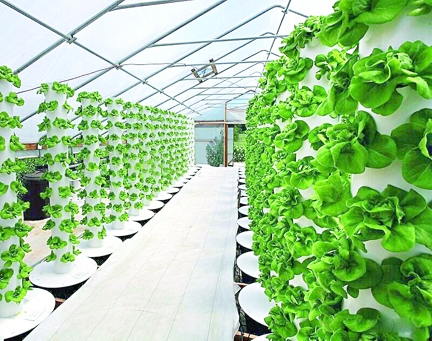 Jylyjaı jáne jasandy ıntellekt