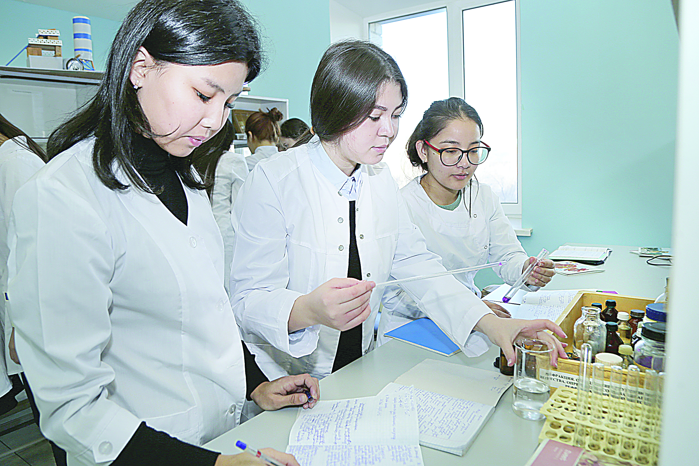 Sý kásibiniń mártebesi joǵarylady