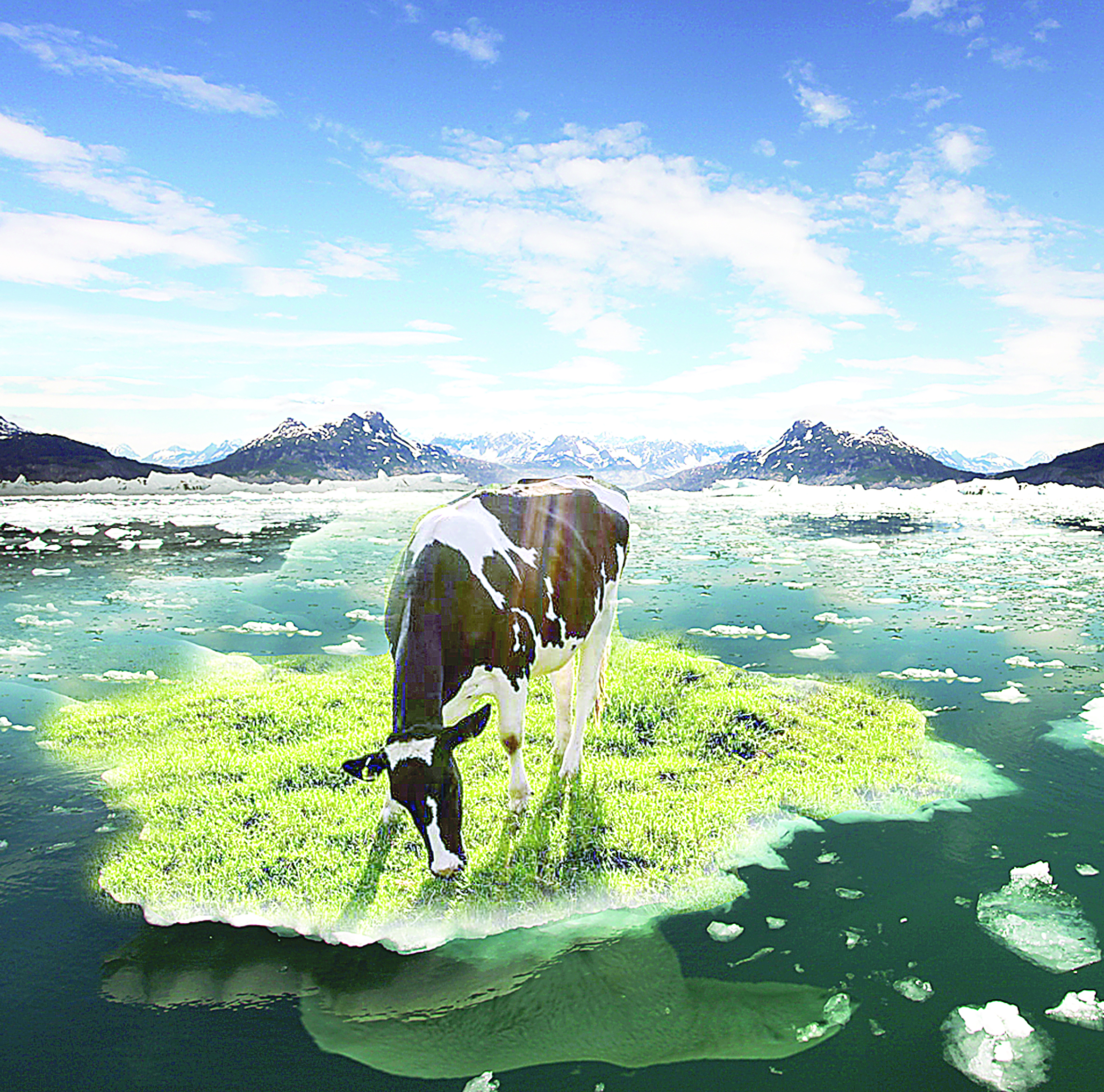 Jahandyq jylyný jaıylymdardy tozdyryp barady