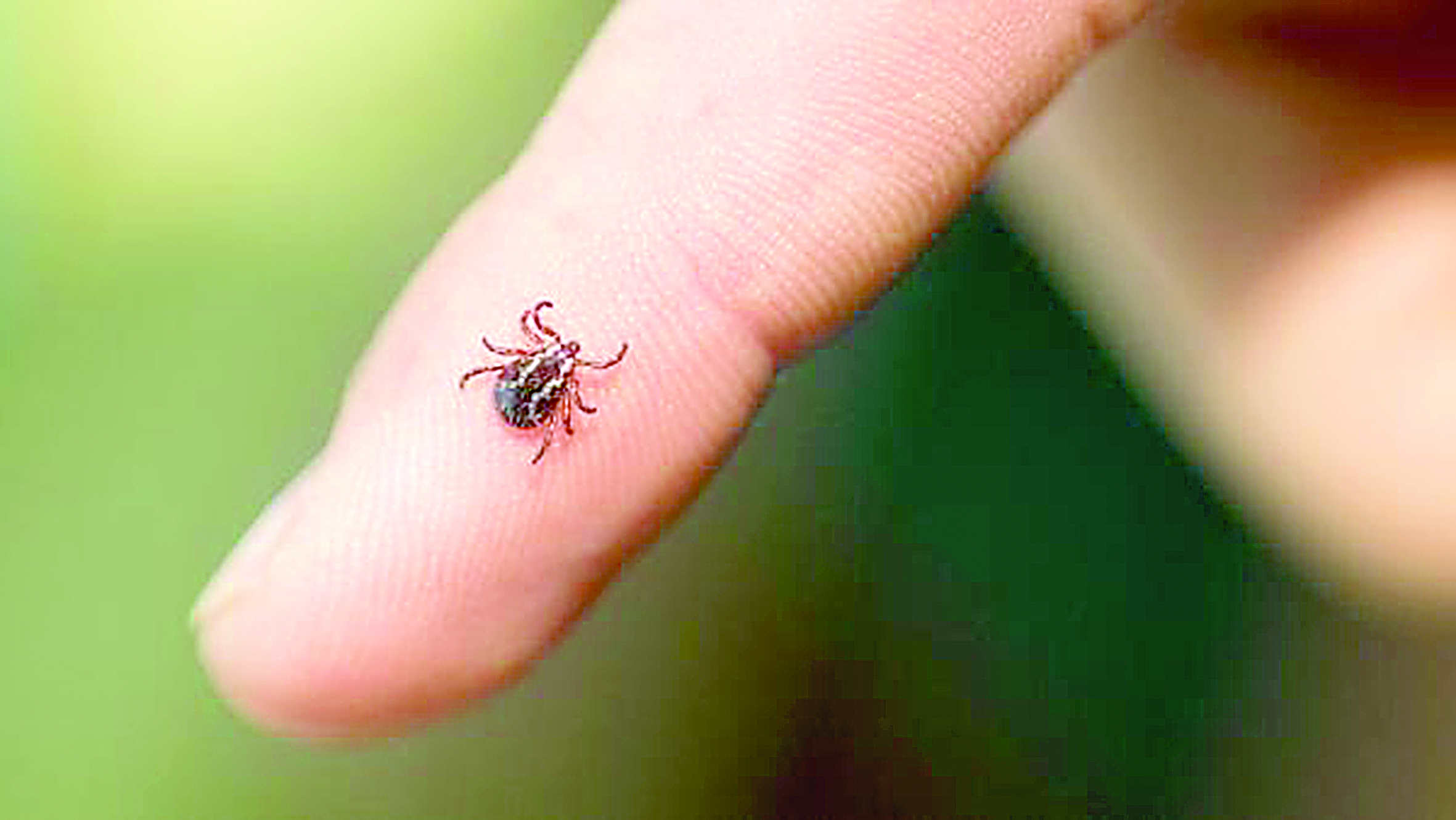 Zııankesterden saq bolyńyz!