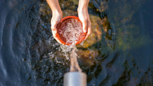 Bıyl 32 sý nysany memleketke qaıtaryldy