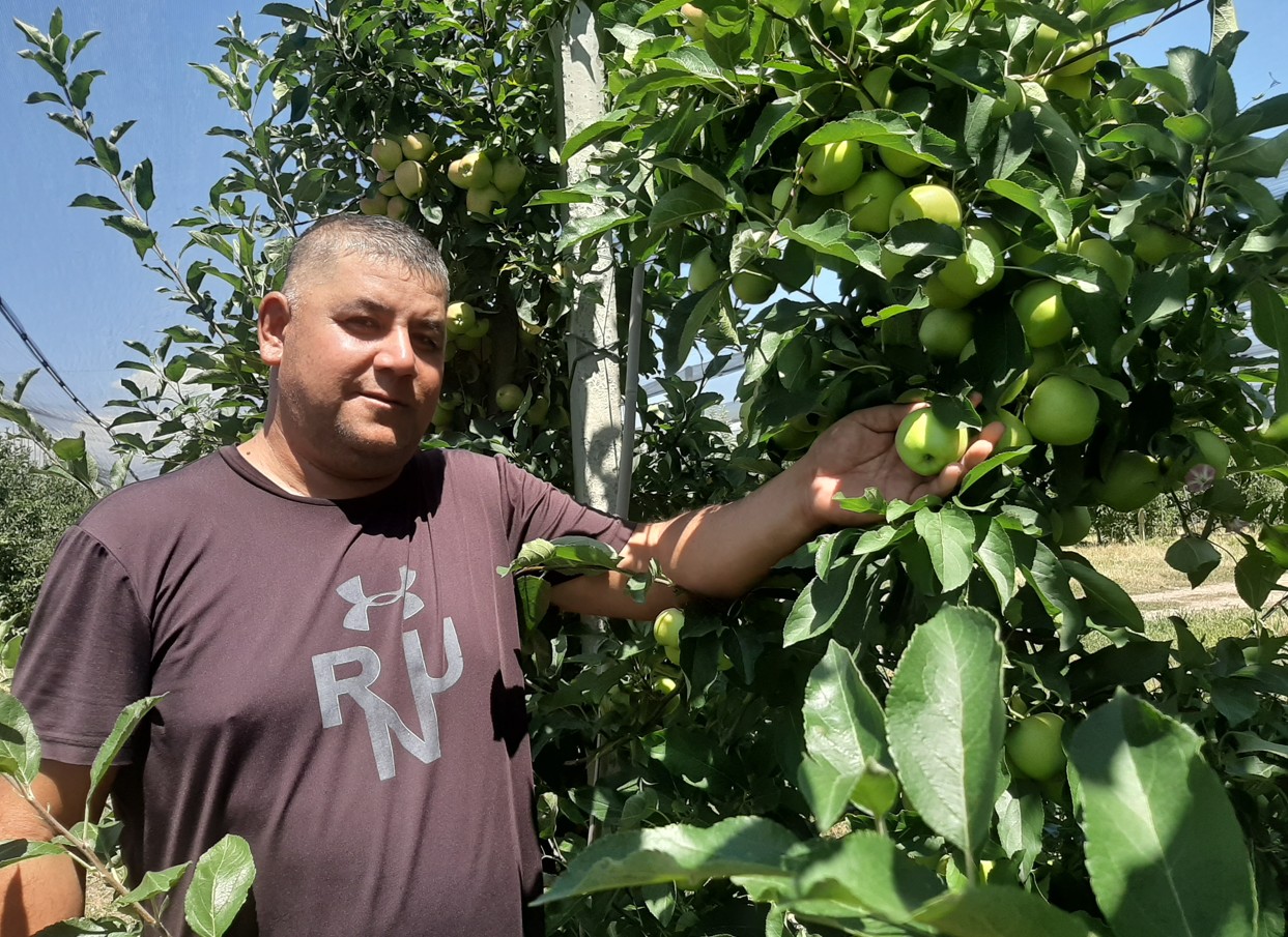 Qaraturyqtyń tátti almasy