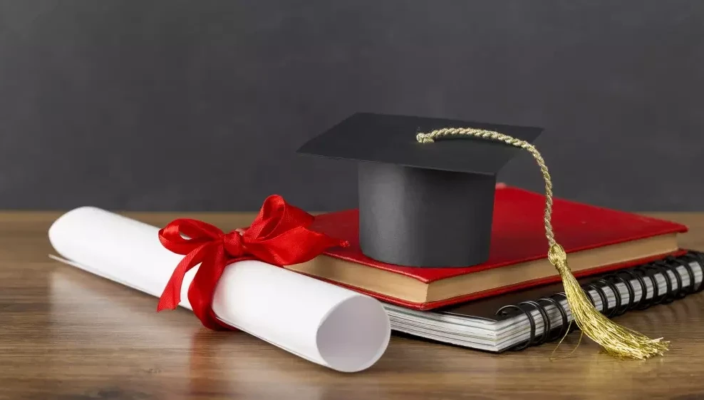 Magıstratýranyń grant konkýrsyna qujat qabyldaý bastaldy