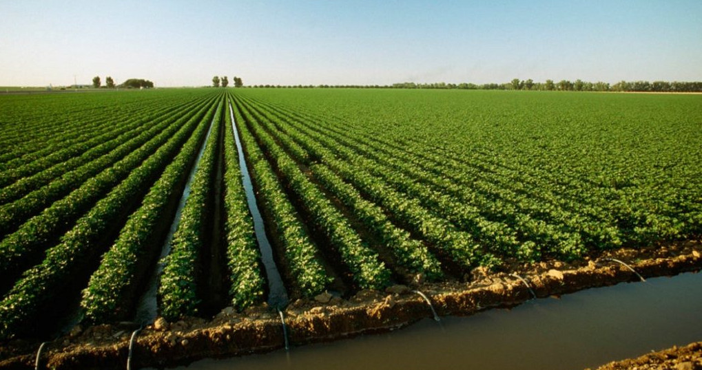 Melıorasııanyń kókeıkesti mindetteri