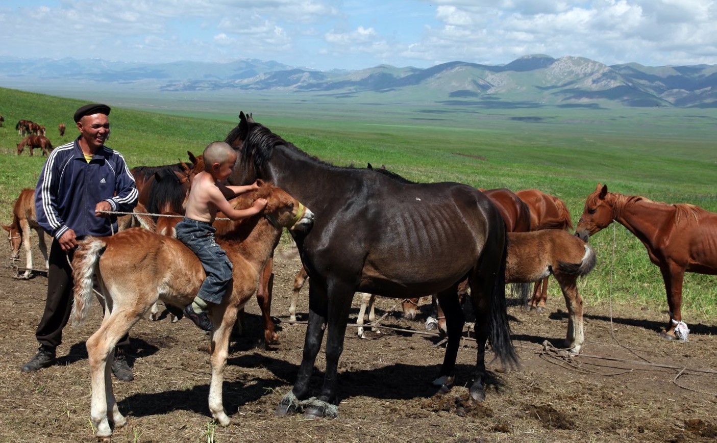 Básireniń máni nede?