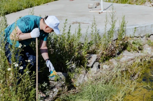 Elimizde bir aıda 300-den astam eko-aksııa ótedi