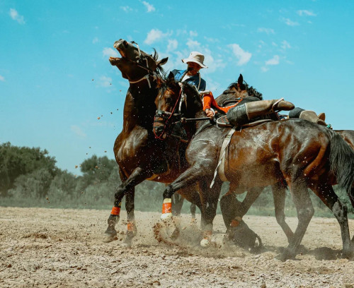 El kókparshylary kókbóri oıynyna daıyndalyp jatyr