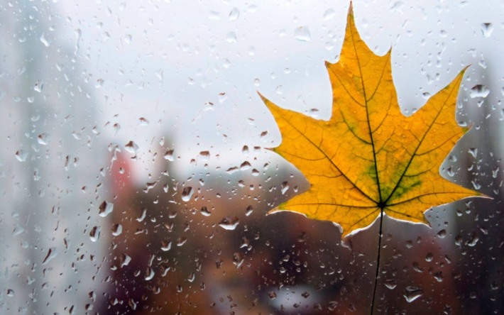 Qazaqstanda kúzde aýa raıy qandaı bolady