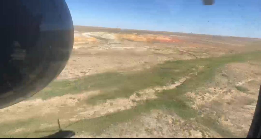 Sońǵy 10 jylda 230 tonnadan astam kannabıs tobynyń esirtkileri joıylǵan