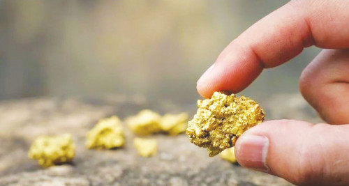 Aqmola oblysynda zańsyz altyn óndirgen qylmystyq top anyqtaldy