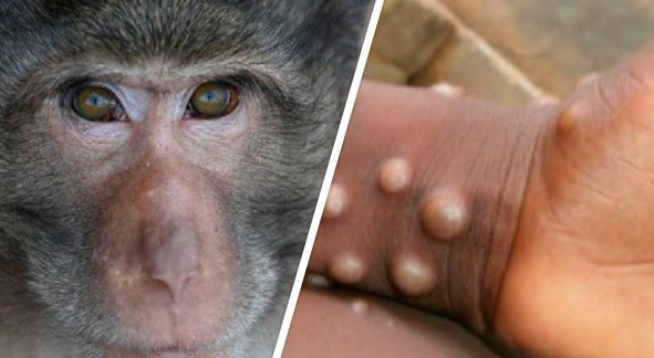 Maımyl sheshegi órship keledi