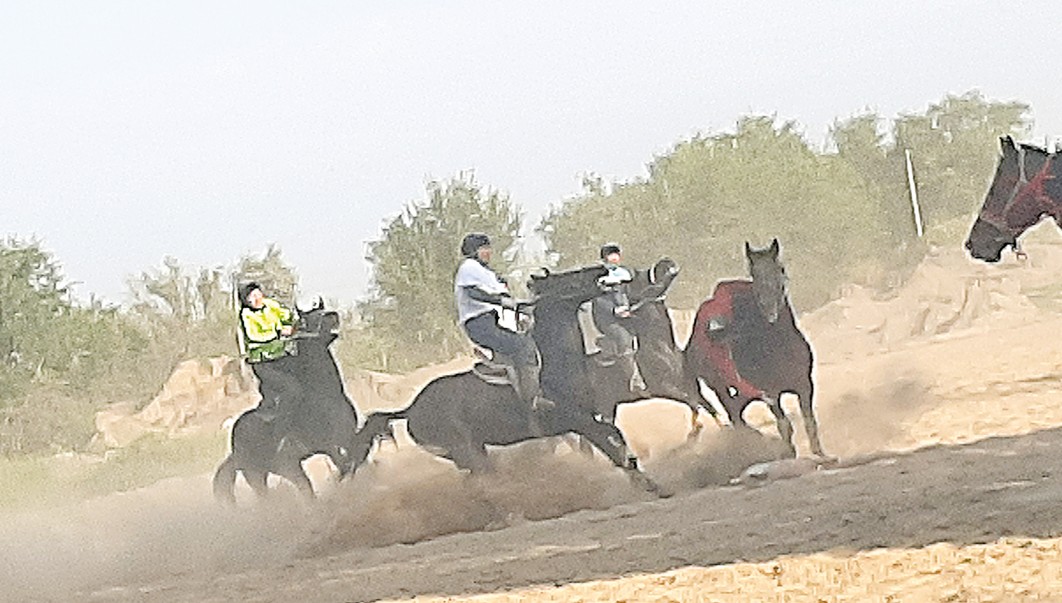 Kóp úmit kókparshylarda