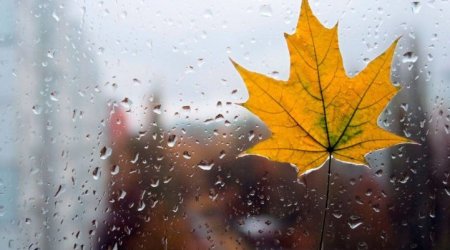 Elimizde aýa raıy kúrt ózgeredi