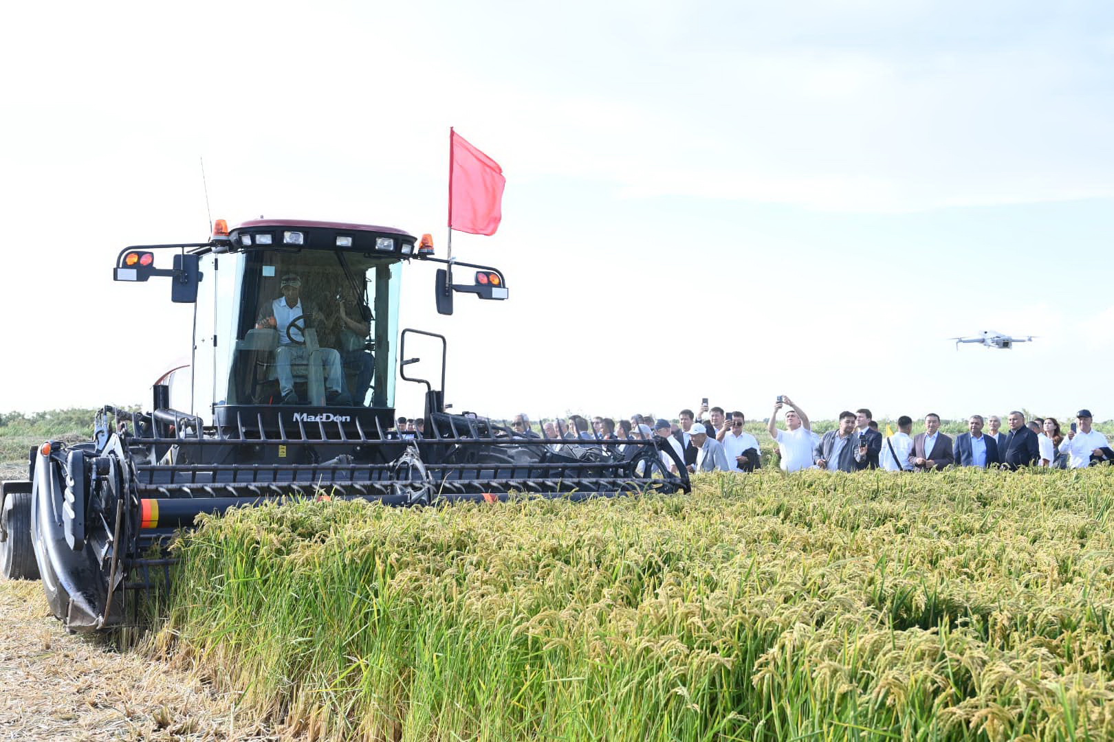 Syr kúrishi – el yrysy