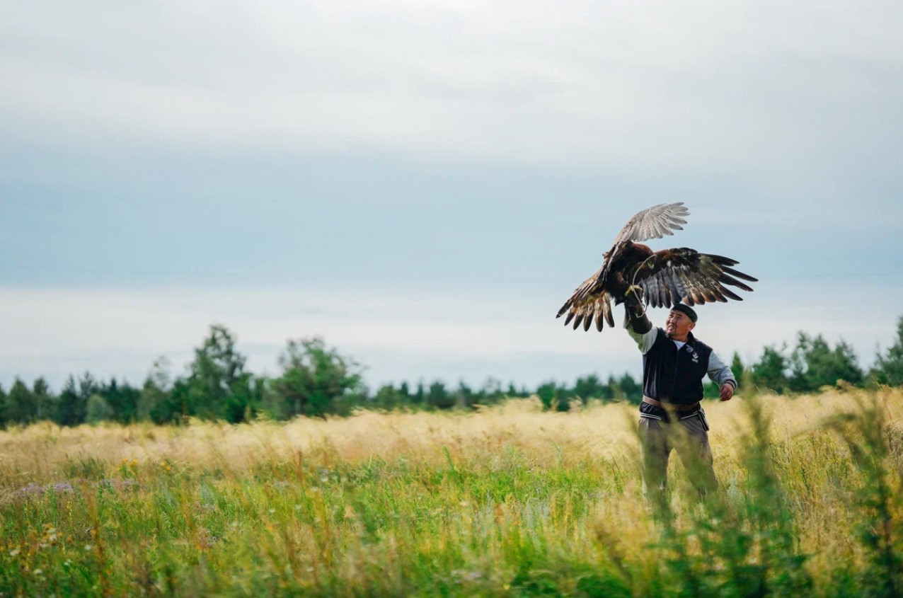 Qusbegilerdiń qyraǵylyǵy synalady
