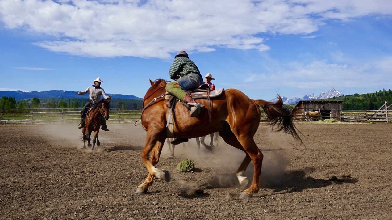 Kovboılar kele jatyr