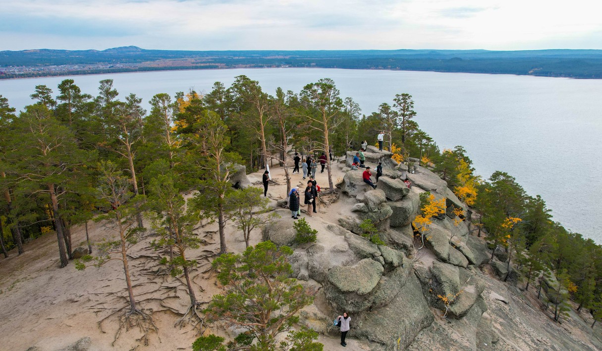 Sana tazarmaı, dala tazarmaıdy