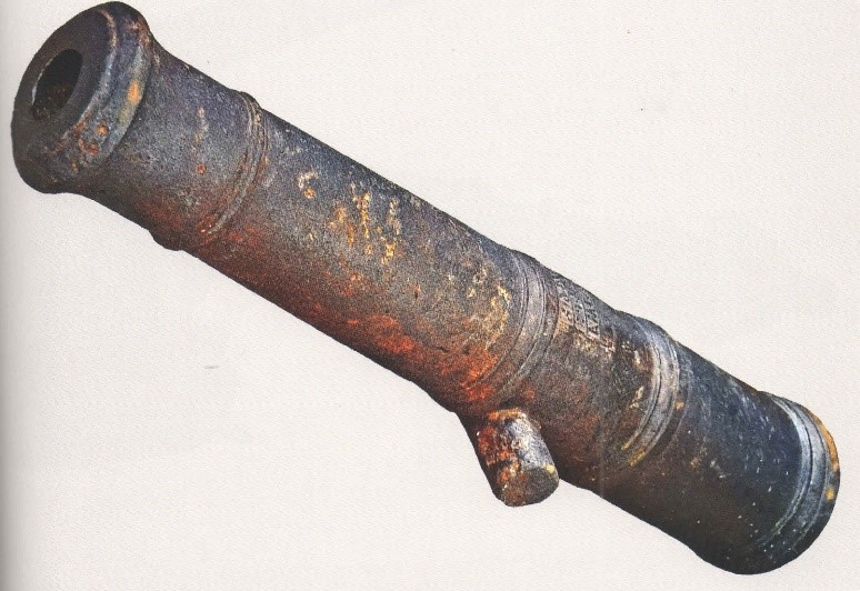 Túıe myltyq túrleri