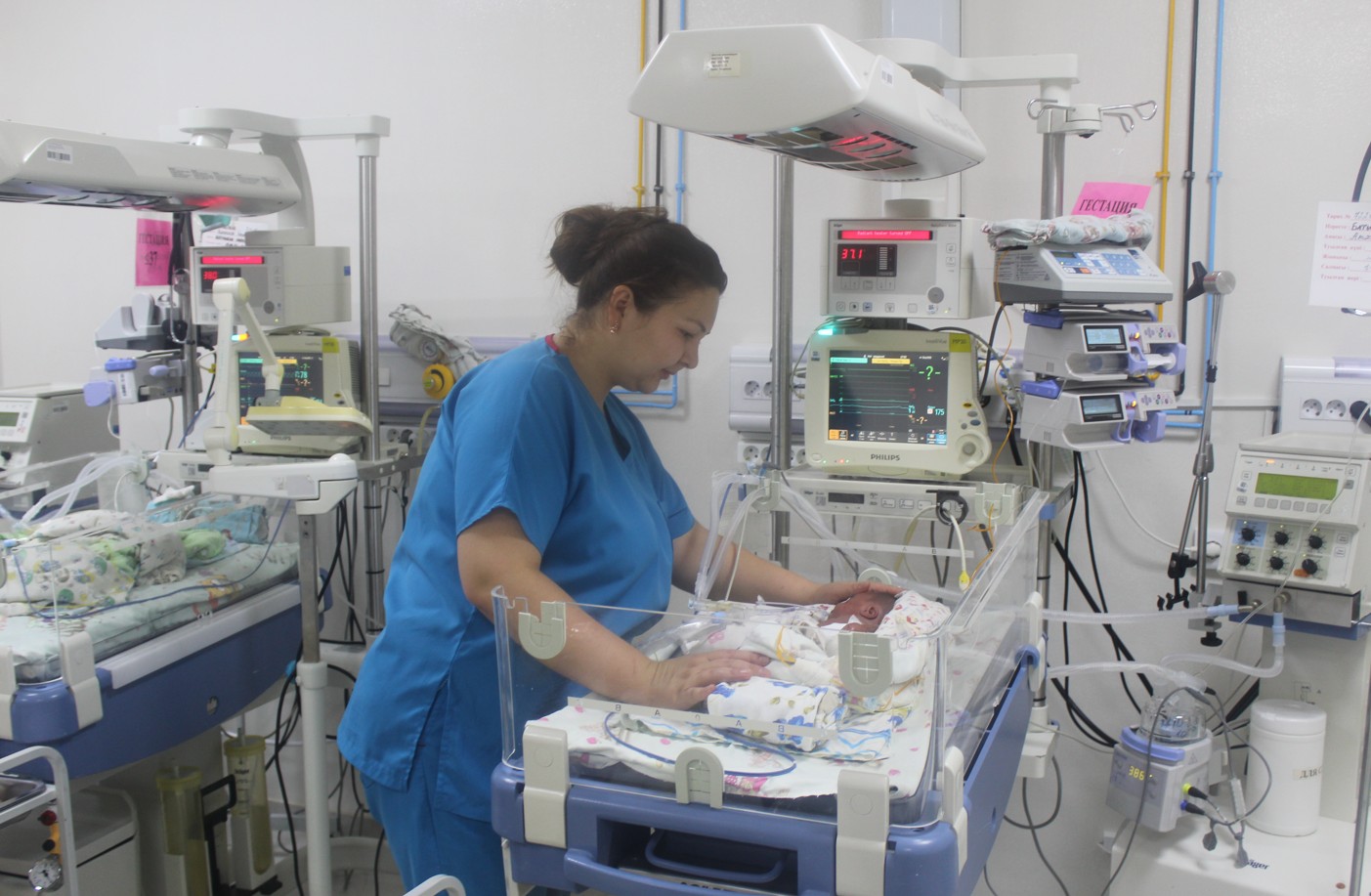 Ana men bala saýlyǵy – basty nazarda