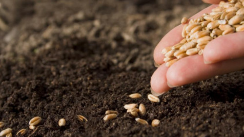 «Bizge mundaı jer ıeleriniń qajeti joq» - Prezıdent Úkimet pen Bas prokýratýraǵa tapsyrma berdi