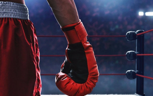 El boksshylary halyqaralyq týrnırde 5 medal jeńip aldy