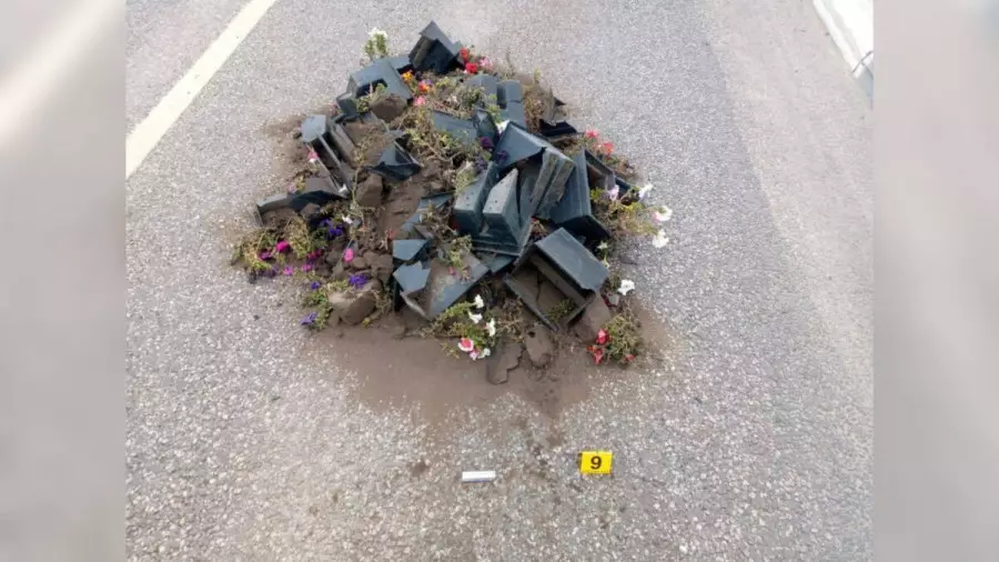 Qostanaı turǵyny mas kúıinde gúlzardy talqandap ketken